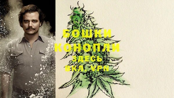 круглые Бородино