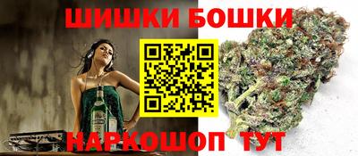 стаф Бийск