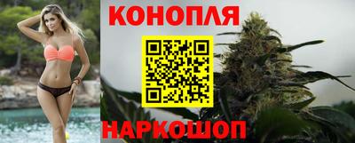 стаф Бийск