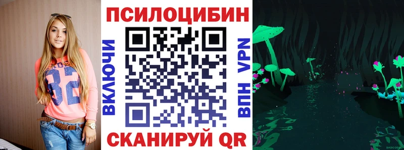 продажа наркотиков  Вязники  Псилоцибиновые грибы Psilocybine cubensis 