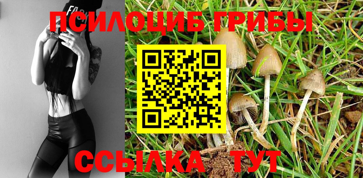 Вязники  Псилоцибиновые грибы MAGIC MUSHROOMS  Вход с VPN 