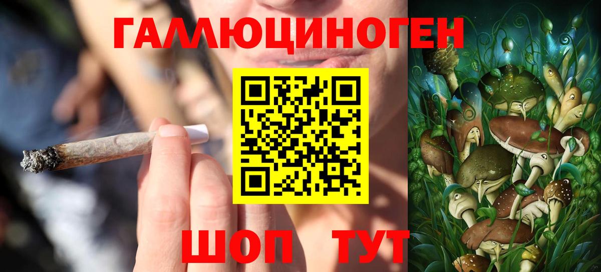 Галлюциногенные грибы Cubensis Вязники
